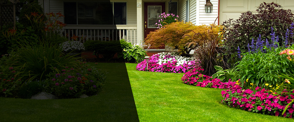 Mayer Landscapers